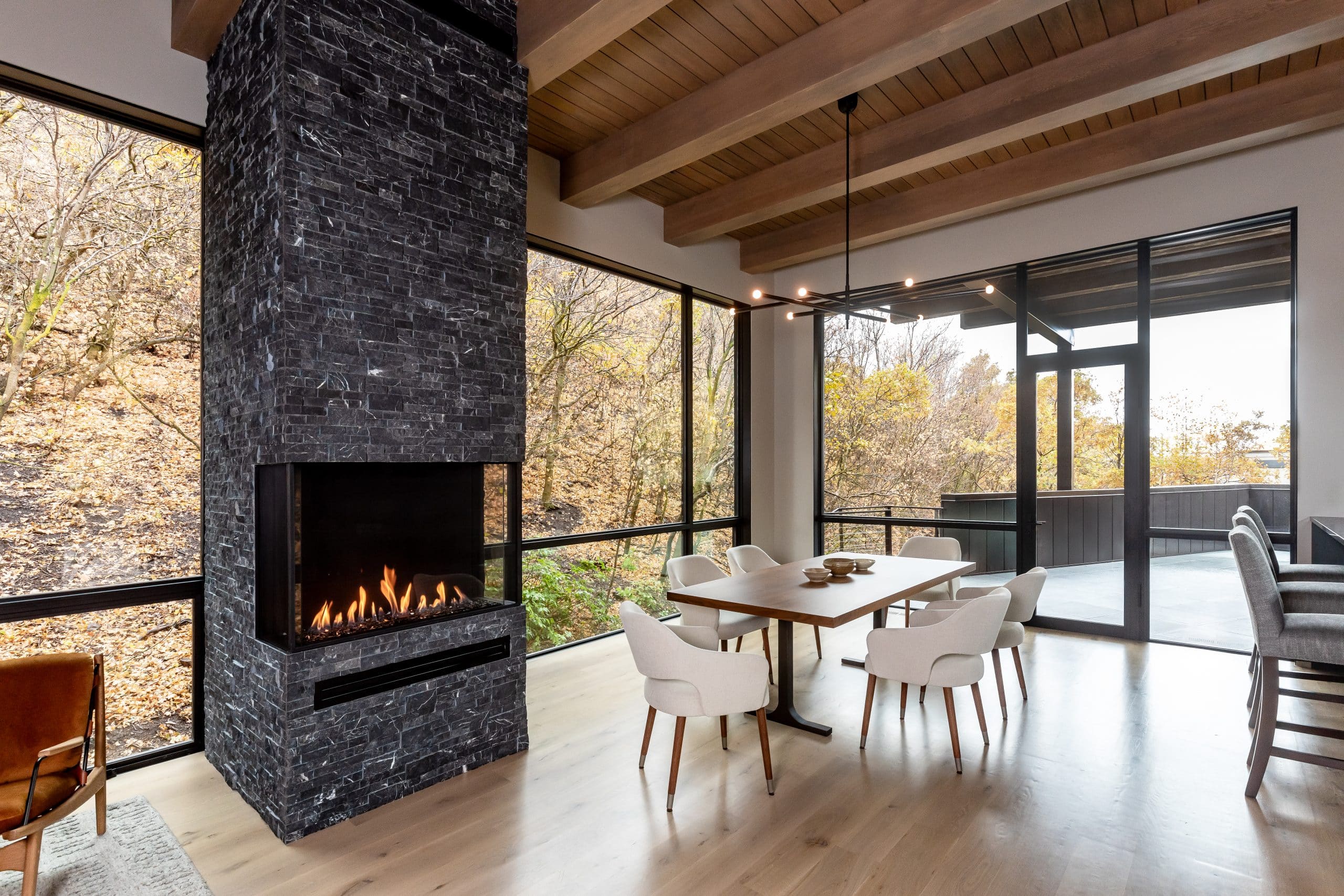 Modern Tree House